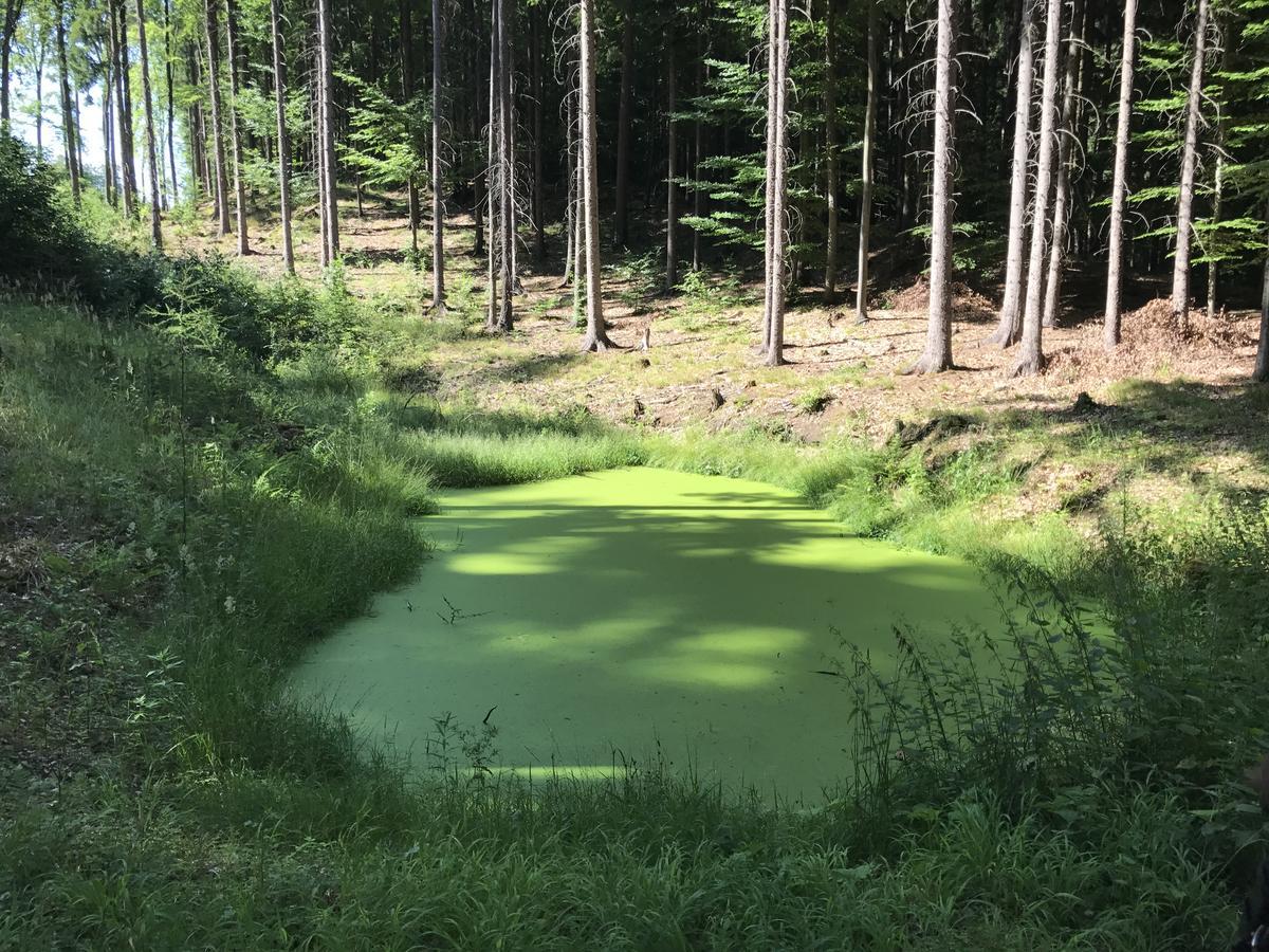 Farma Noe Pensionat Brezina  Exteriör bild
